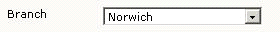 Drop Down Option List